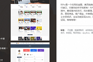 ripro5.4专业虚拟资源主题RiProV5.4研究学习免SG11免授权无限制版本已去除已知后门