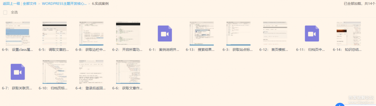 wordpress主题开发2019核心技术课程大全-顺便边学变赚钱