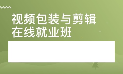 视频包装与剪辑在线就业班课程分享 pr实战教程